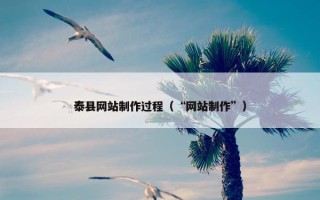 泰县网站制作过程（“网站制作”）