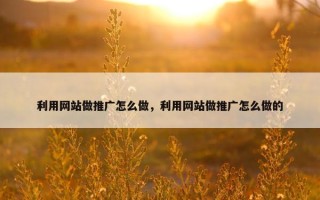 利用网站做推广怎么做，利用网站做推广怎么做的