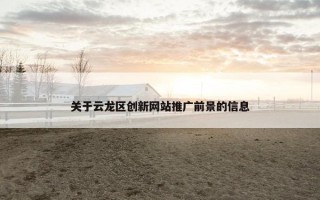关于云龙区创新网站推广前景的信息