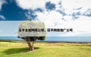 茌平全屋网络公司，茌平网络推广公司