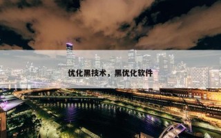 优化黑技术，黑优化软件