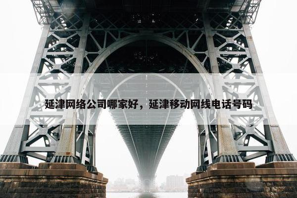 延津网络公司哪家好，延津移动网线电话号码-第1张图片-冷动云