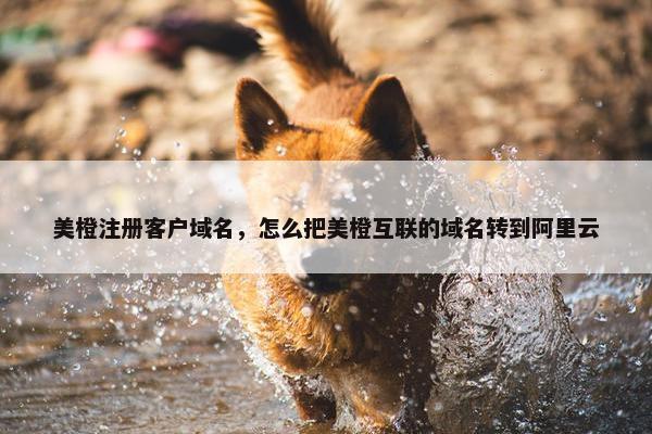 美橙注册客户域名，怎么把美橙互联的域名转到阿里云-第1张图片-冷动云