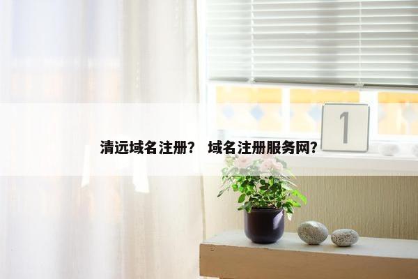 清远域名注册？ 域名注册服务网？-第1张图片-冷动云
