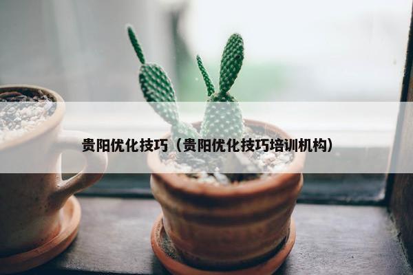 贵阳优化技巧（贵阳优化技巧培训机构）-第1张图片-冷动云