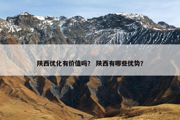 陕西优化有价值吗？ 陕西有哪些优势？-第1张图片-冷动云