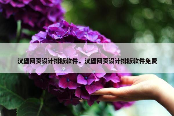 汉堡网页设计排版软件，汉堡网页设计排版软件免费-第1张图片-冷动云