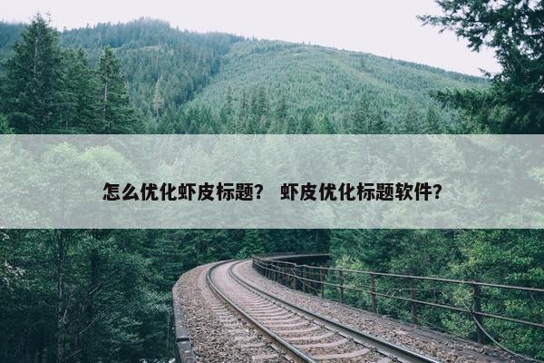 怎么优化虾皮标题？ 虾皮优化标题软件？-第1张图片-冷动云
