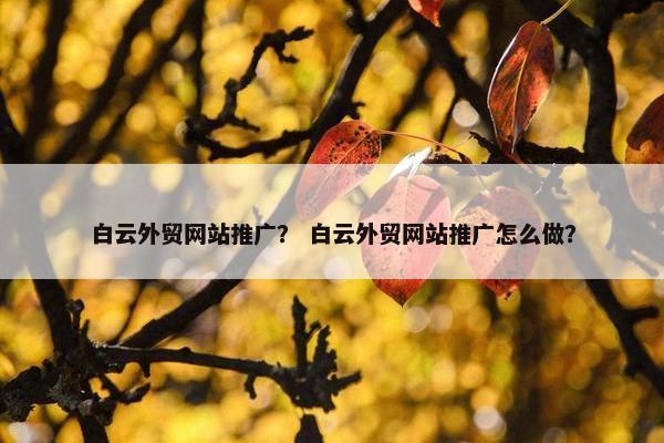 白云外贸网站推广？ 白云外贸网站推广怎么做？-第1张图片-冷动云