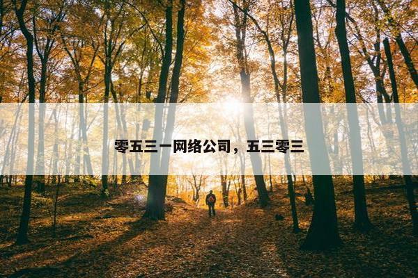 零五三一网络公司，五三零三-第1张图片-冷动云