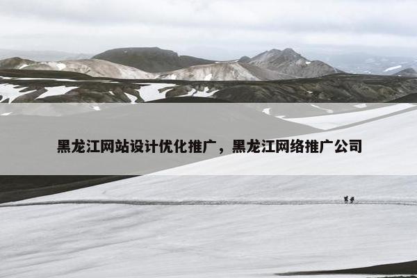 黑龙江网站设计优化推广，黑龙江网络推广公司-第1张图片-冷动云