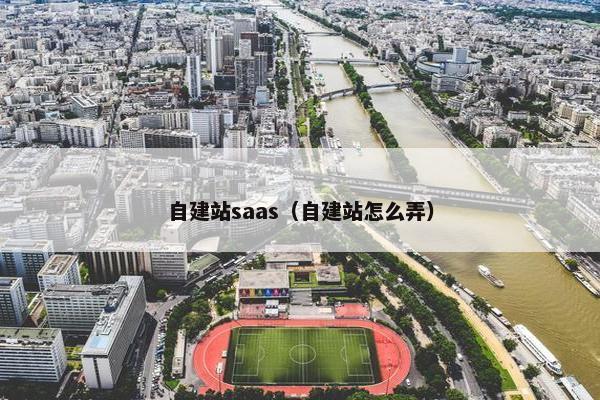 自建站saas（自建站怎么弄）-第1张图片-冷动云