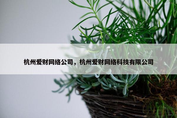 杭州爱财网络公司，杭州爱财网络科技有限公司-第1张图片-冷动云