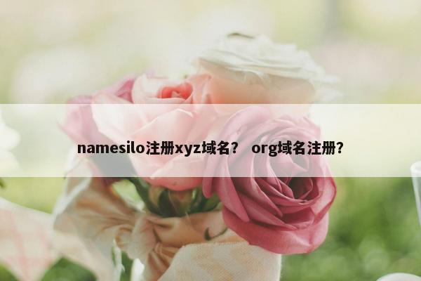 namesilo注册xyz域名？ org域名注册？-第1张图片-冷动云