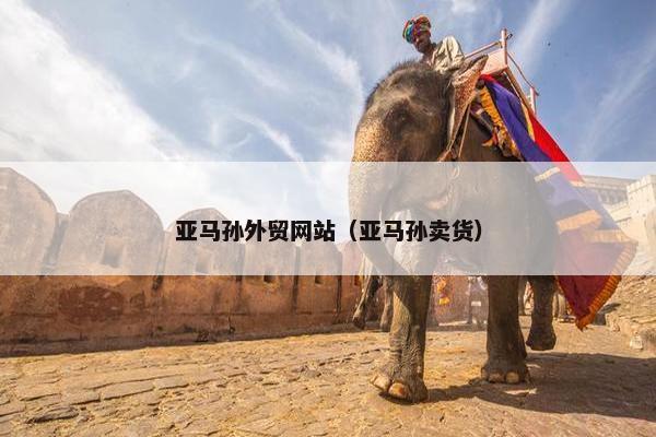 亚马孙外贸网站（亚马孙卖货）-第1张图片-冷动云
