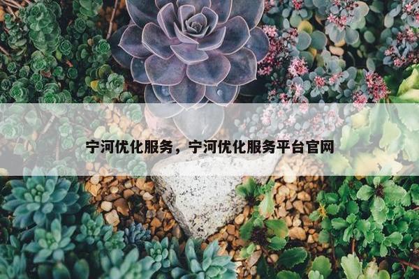 宁河优化服务，宁河优化服务平台官网-第1张图片-冷动云