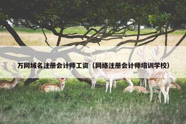 万网域名注册会计师工资（网络注册会计师培训学校）-第1张图片-冷动云