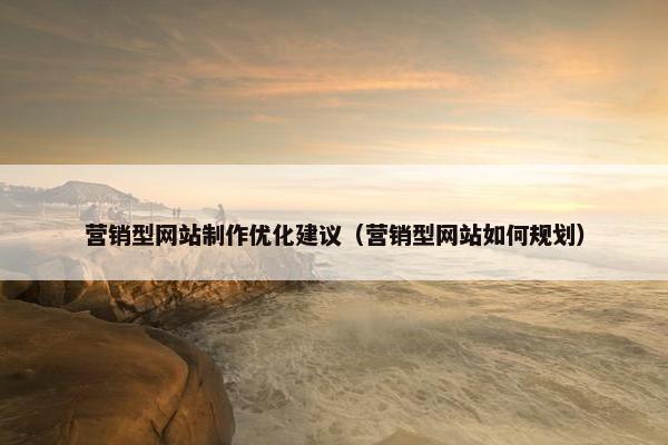 营销型网站制作优化建议（营销型网站如何规划）-第1张图片-冷动云