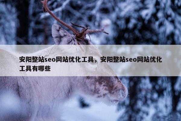 安阳整站seo网站优化工具，安阳整站seo网站优化工具有哪些-第1张图片-冷动云