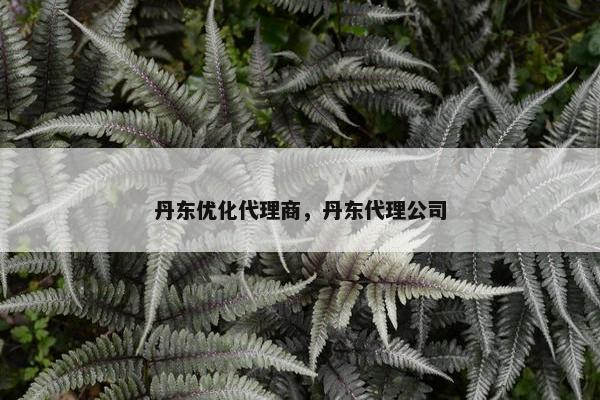 丹东优化代理商，丹东代理公司-第1张图片-冷动云