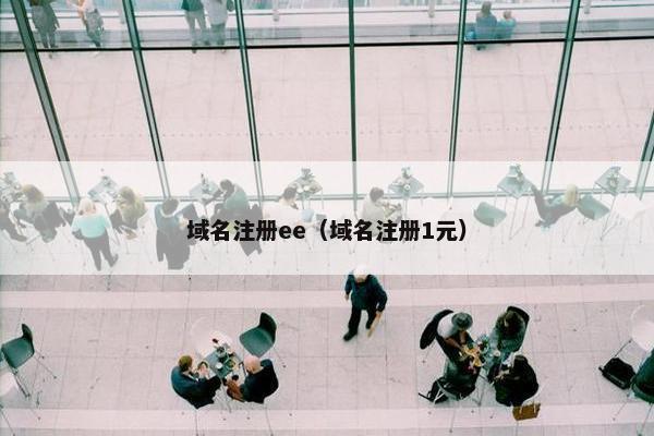 域名注册ee（域名注册1元）-第1张图片-冷动云