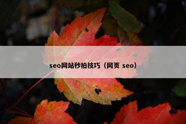 seo网站秒拍技巧（网页 seo）-第1张图片-冷动云