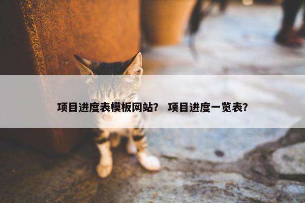 项目进度表模板网站？ 项目进度一览表？-第1张图片-冷动云