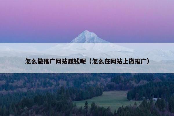 怎么做推广网站赚钱呢（怎么在网站上做推广）-第1张图片-冷动云