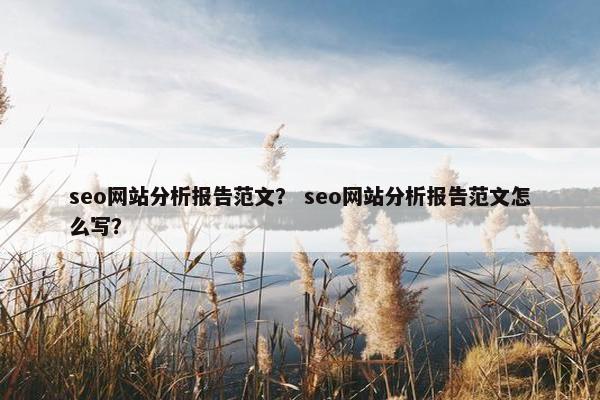 seo网站分析报告范文？ seo网站分析报告范文怎么写？-第1张图片-冷动云