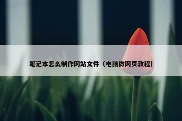 笔记本怎么制作网站文件（电脑做网页教程）-第1张图片-冷动云