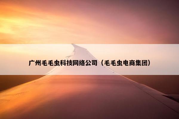 广州毛毛虫科技网络公司（毛毛虫电商集团）-第1张图片-冷动云