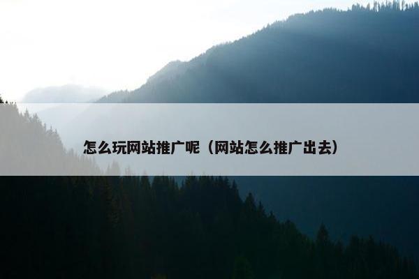 怎么玩网站推广呢（网站怎么推广出去）-第1张图片-冷动云