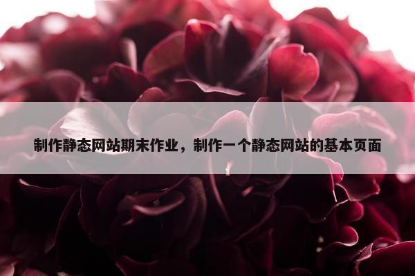 制作静态网站期末作业，制作一个静态网站的基本页面-第1张图片-冷动云