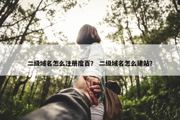 二级域名怎么注册度百？ 二级域名怎么建站？-第1张图片-冷动云