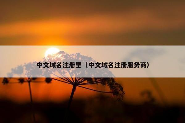 中文域名注册里（中文域名注册服务商）-第1张图片-冷动云