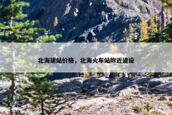 北海建站价格，北海火车站附近建设-第1张图片-冷动云