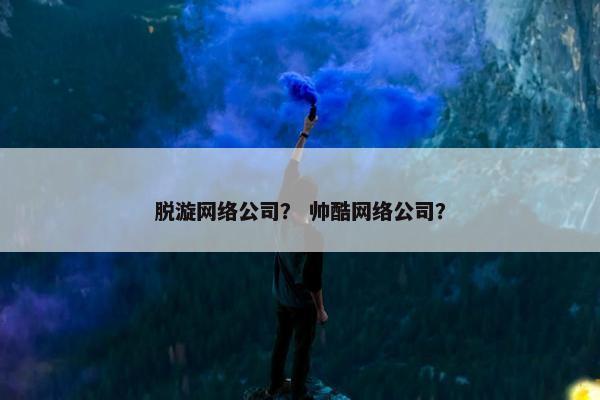 脱漩网络公司？ 帅酷网络公司？-第1张图片-冷动云