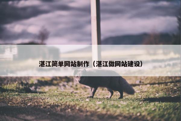 湛江简单网站制作（湛江做网站建设）-第1张图片-冷动云