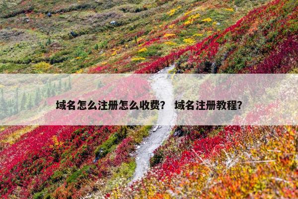 域名怎么注册怎么收费？ 域名注册教程？-第1张图片-冷动云