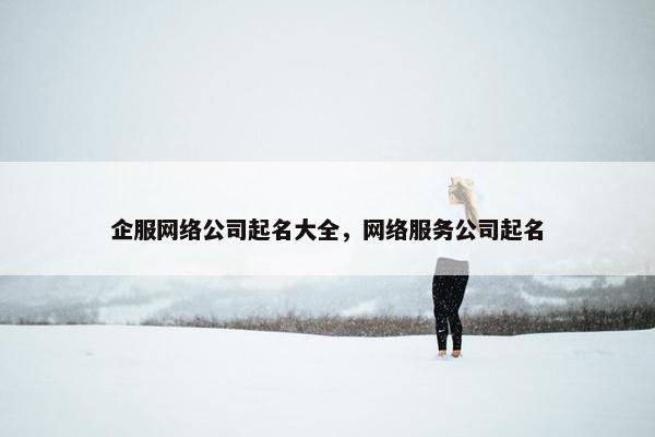 企服网络公司起名大全，网络服务公司起名-第1张图片-冷动云