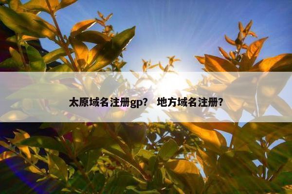 太原域名注册gp？ 地方域名注册？-第1张图片-冷动云