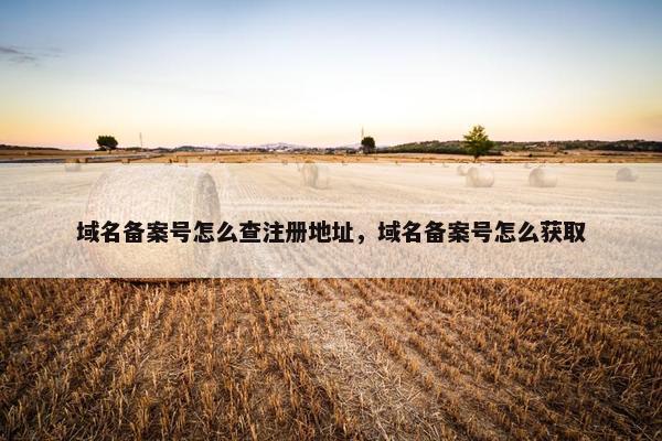 域名备案号怎么查注册地址，域名备案号怎么获取-第1张图片-冷动云