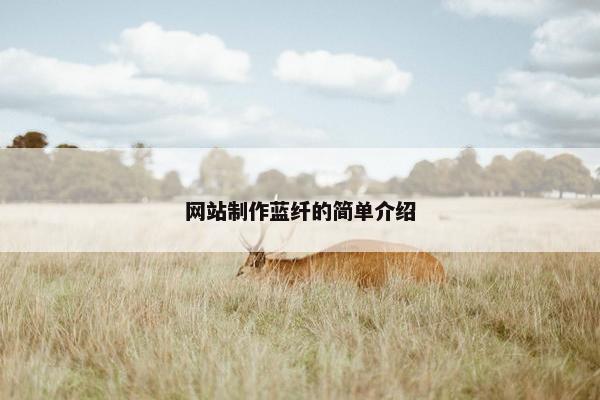 网站制作蓝纤的简单介绍-第1张图片-冷动云