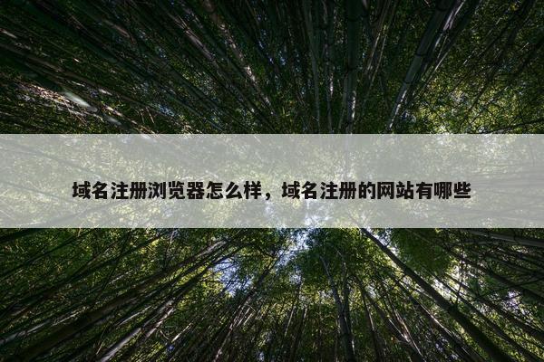 域名注册浏览器怎么样，域名注册的网站有哪些-第1张图片-冷动云