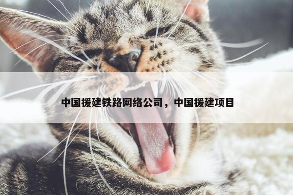 中国援建铁路网络公司，中国援建项目-第1张图片-冷动云