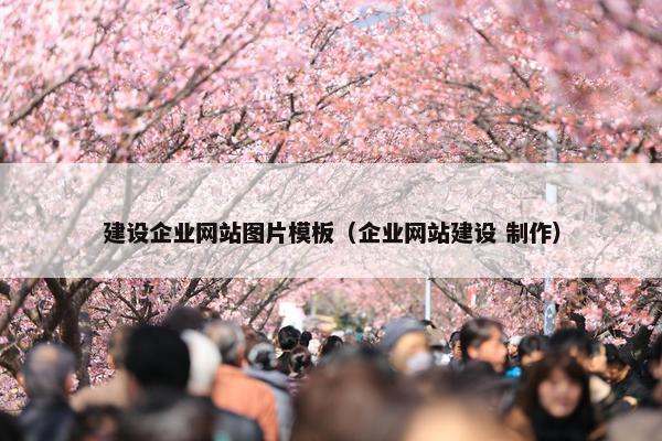 建设企业网站图片模板（企业网站建设 制作）-第1张图片-冷动云