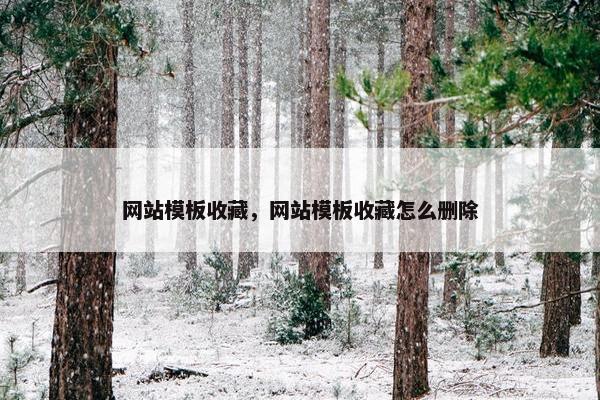网站模板收藏，网站模板收藏怎么删除-第1张图片-冷动云