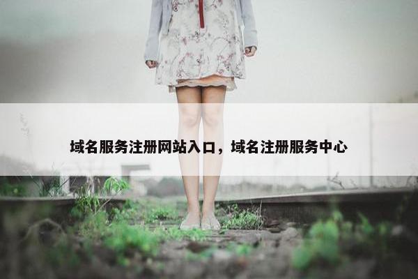 域名服务注册网站入口，域名注册服务中心-第1张图片-冷动云