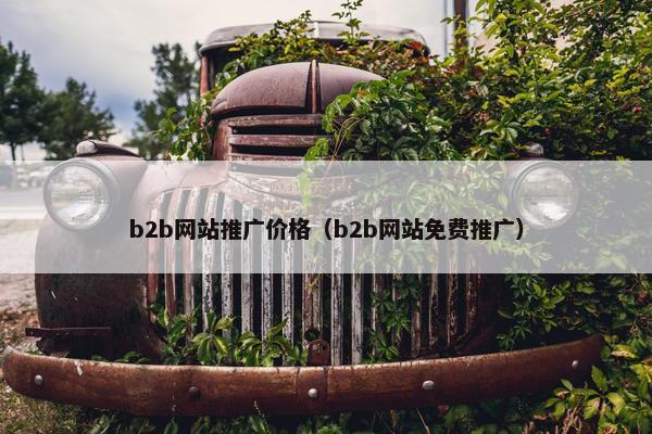 b2b网站推广价格（b2b网站免费推广）-第1张图片-冷动云