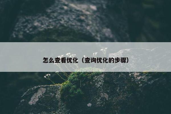 怎么查看优化（查询优化的步骤）-第1张图片-冷动云